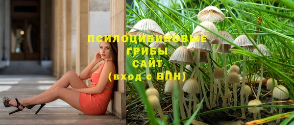 прущие крисы Лиски