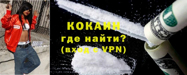 сатива Алагир